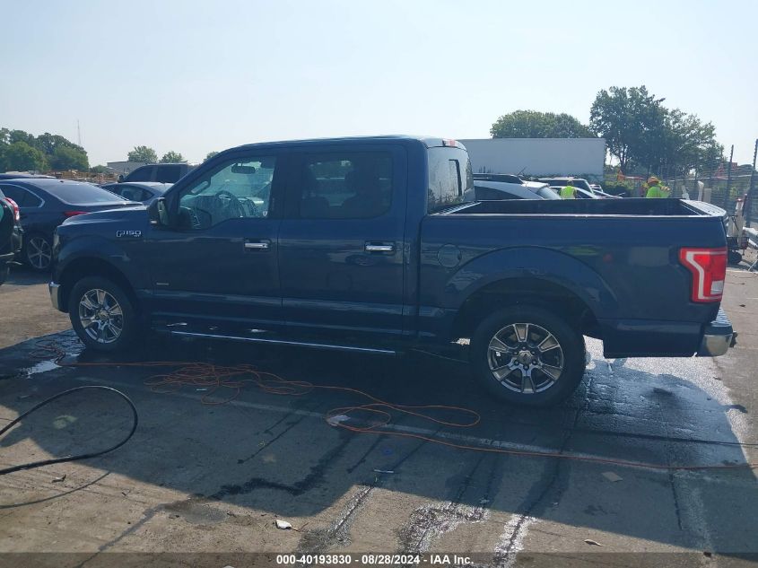 2015 FORD F-150 XLT - 1FTEW1CP8FFC85569