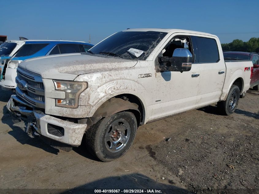 1FTEW1EG8FFA19224 2015 FORD F-150 - Image 2