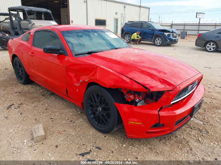 2014 FORD MUSTANG V6 - 1ZVBP8AM3E5299012