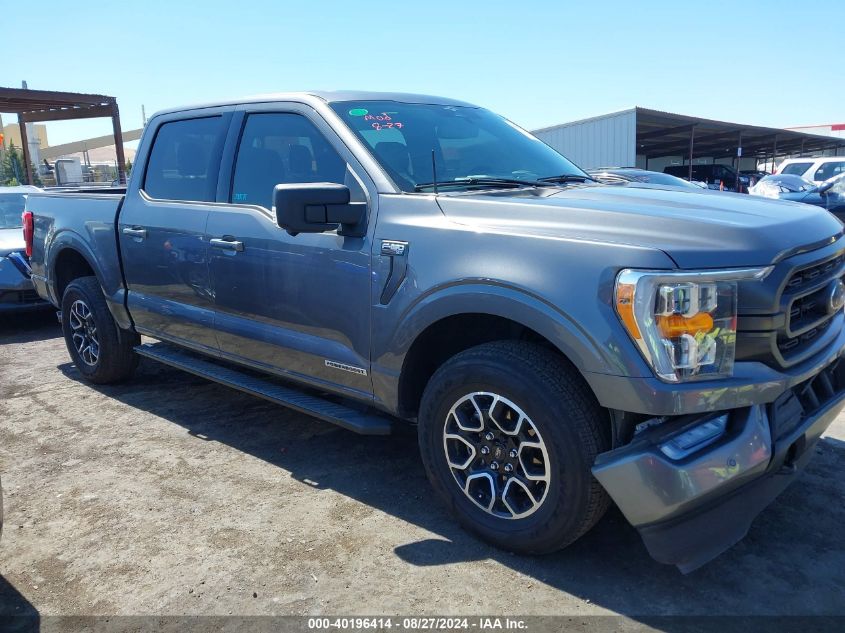 2023 FORD F-150 XLT - 1FTFW1ED7PFC14467