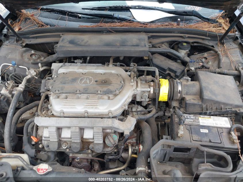 19UUA86229A002881 2009 Acura Tl 3.5