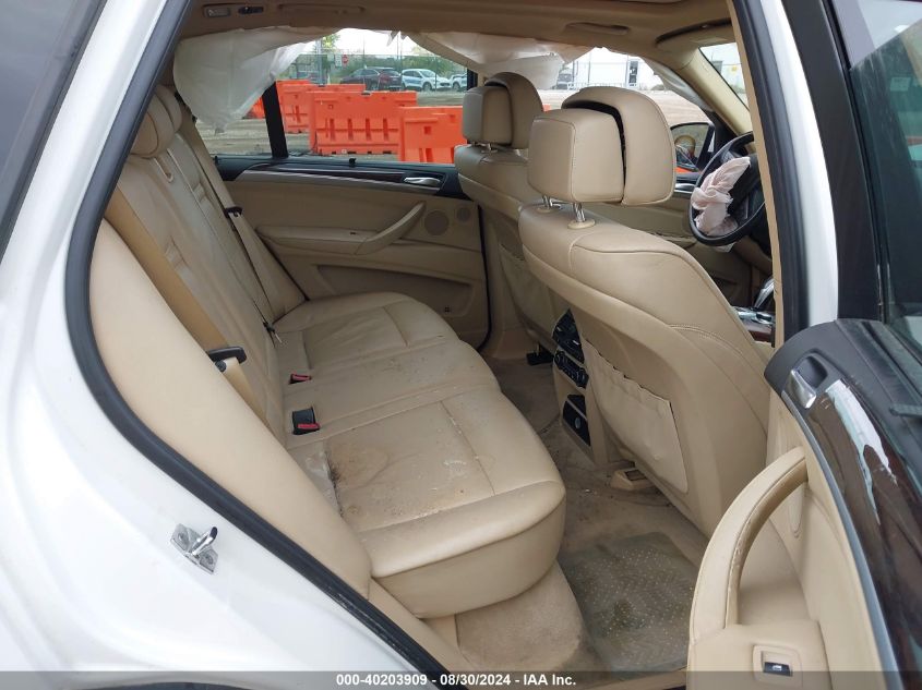 5UXFE43539L272059 2009 BMW X5 xDrive30I