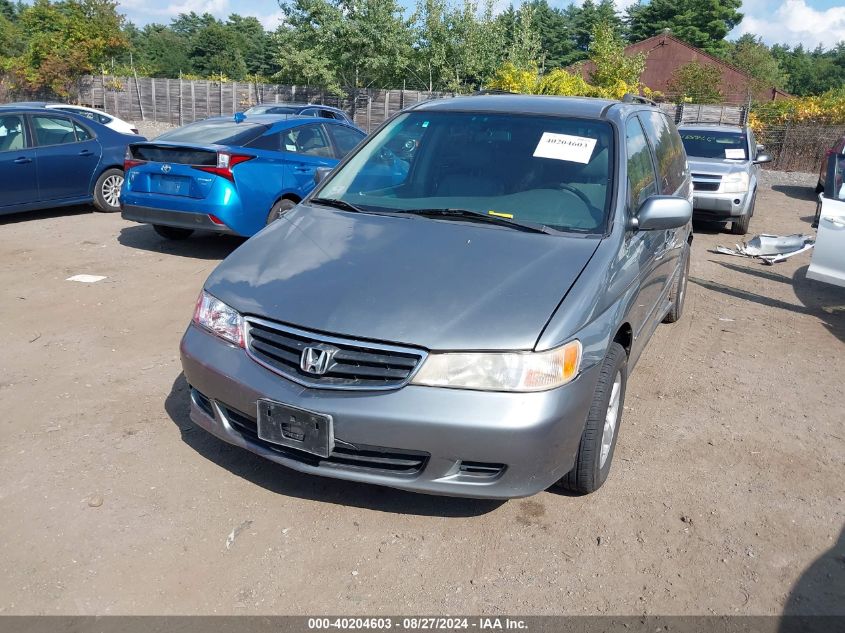 2002 Honda Odyssey Ex-L VIN: 5FNRL189X2B023717 Lot: 40204603