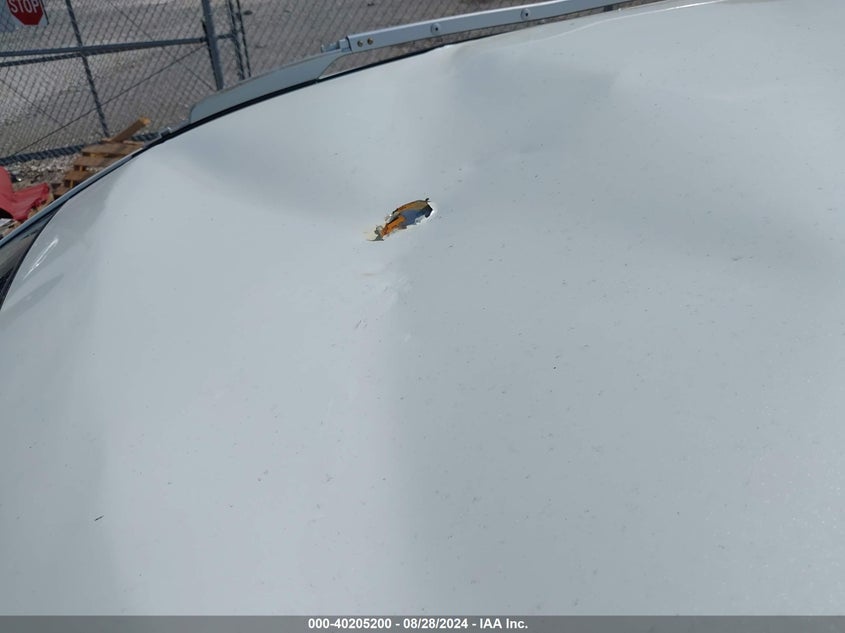 2019 NISSAN ROGUE SL - 5N1AT2MV8KC728174