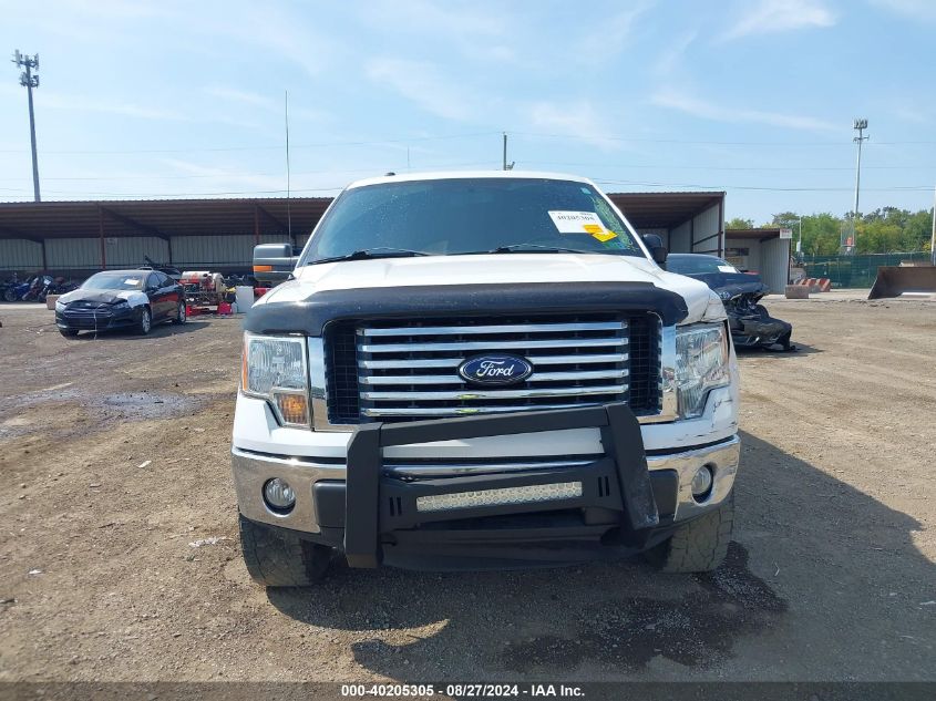 2012 Ford F-150 Xlt VIN: 1FTFX1EF5CFB07846 Lot: 40205305