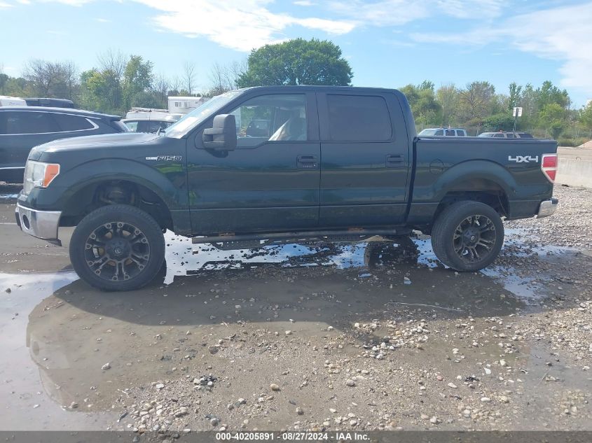 2013 Ford F-150 Xlt VIN: 1FTFW1EF5DKF81243 Lot: 40205891