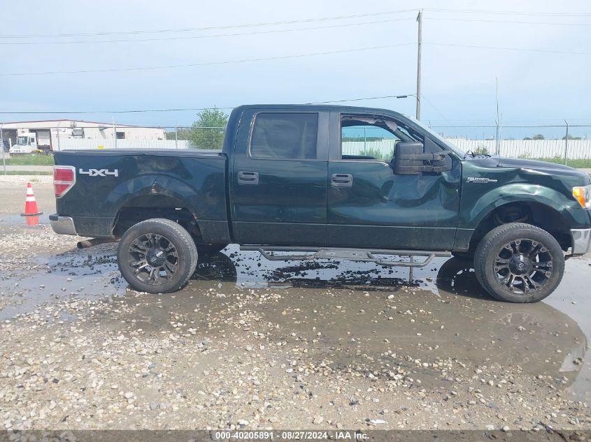 2013 Ford F-150 Xlt VIN: 1FTFW1EF5DKF81243 Lot: 40205891