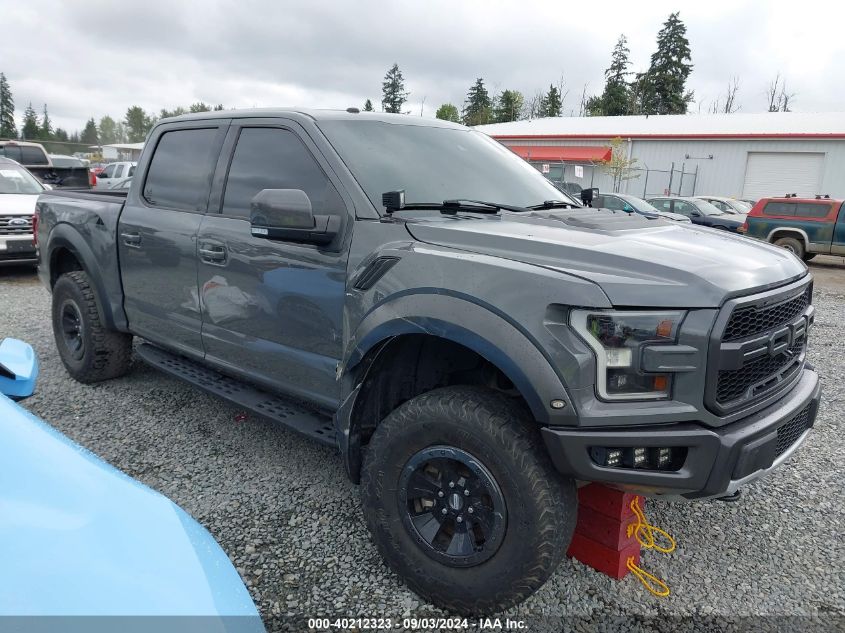 2018 Ford F-150 Raptor VIN: 1FTFW1RGXJFA07065 Lot: 40212323