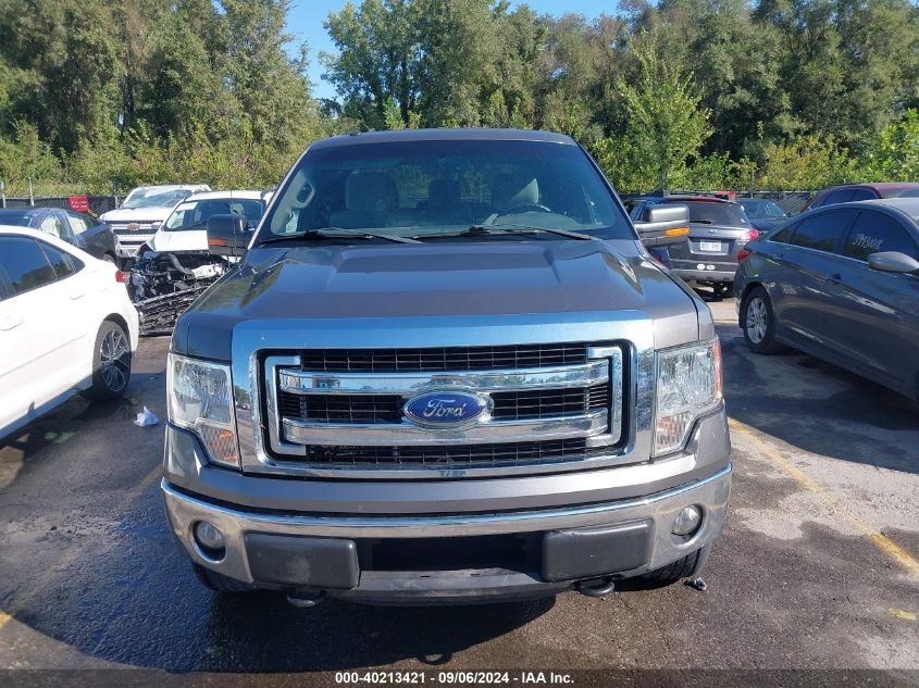 2013 Ford F-150 Xlt VIN: 1FTFX1EF1DKD47713 Lot: 40213421