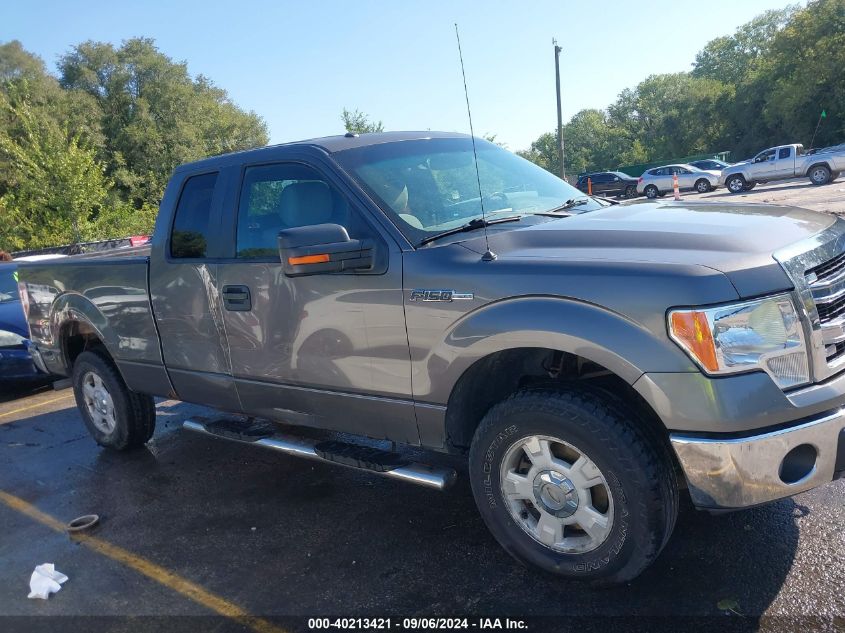 2013 Ford F-150 Xlt VIN: 1FTFX1EF1DKD47713 Lot: 40213421