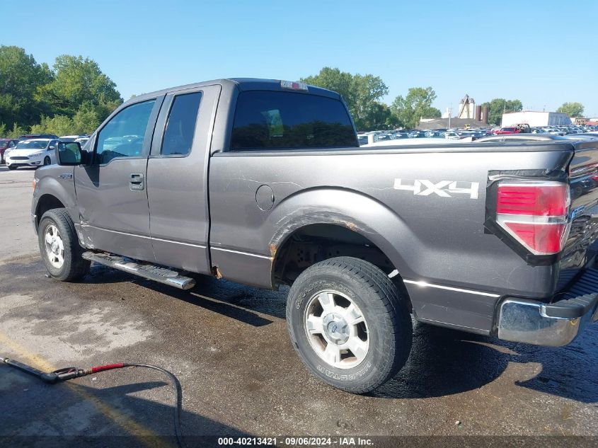 2013 Ford F-150 Xlt VIN: 1FTFX1EF1DKD47713 Lot: 40213421