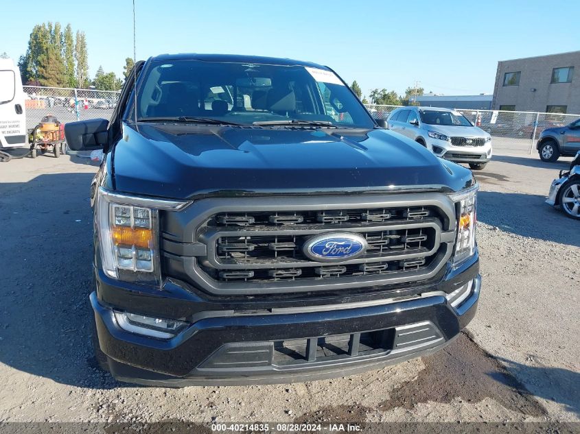 2023 Ford F-150 Xlt VIN: 1FTEW1CP6PKE31637 Lot: 40214835