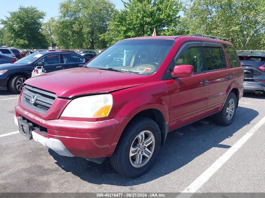 2005 Honda Pilot Ex-L VIN: 5FNYF18635B000552 Lot: 40216477