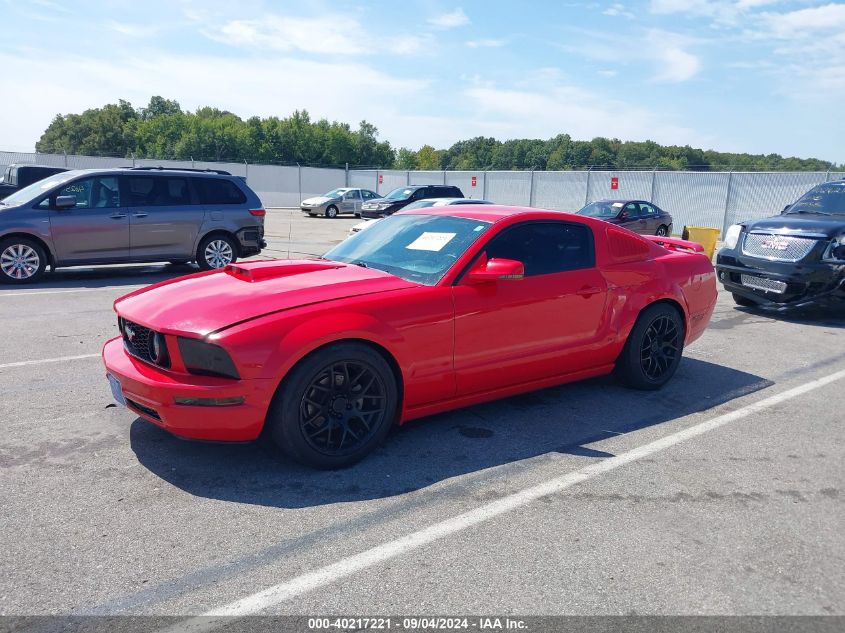 2005 Ford Mustang V6 Deluxe/V6 Premium VIN: 1ZVFT80N455174401 Lot: 40217221