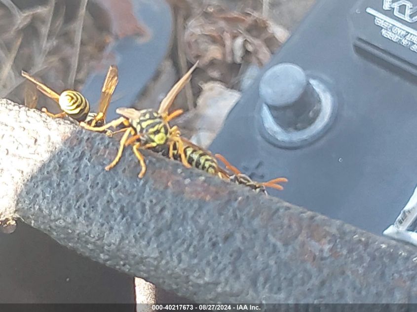 1999 Ford Ranger Xlt VIN: 1FTZR15X0XTA50916 Lot: 40217673