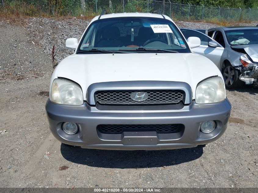 2003 Hyundai Santa Fe Gls/Lx VIN: KM8SC13D83U403477 Lot: 40218208