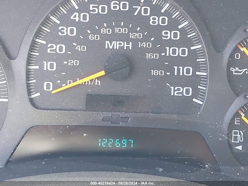 2003 Chevrolet Trailblazer Ls/Lt/Ltz VIN: 1GNDS13S932140384 Lot: 40218424