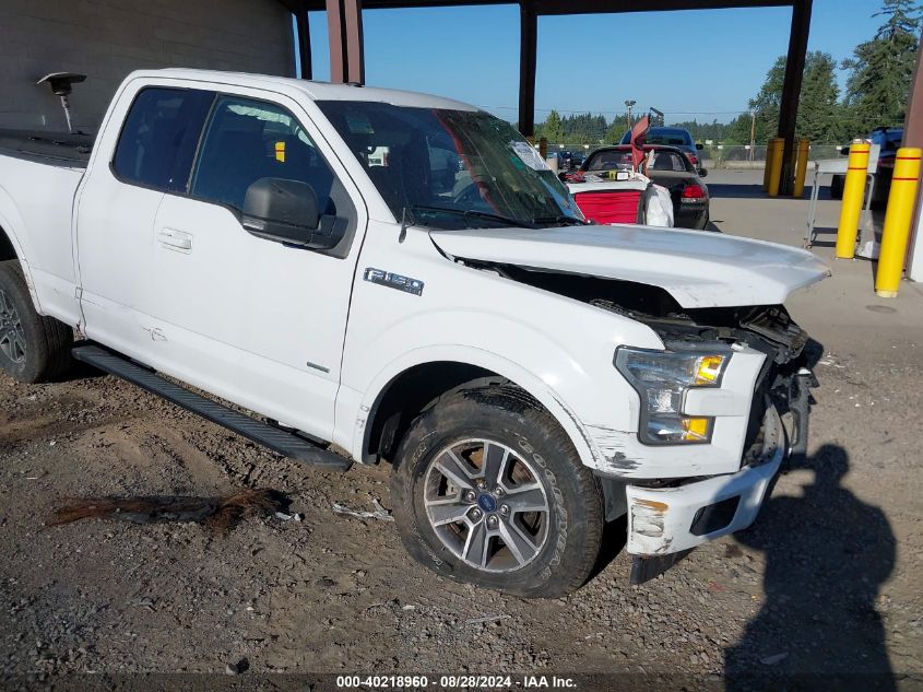 2017 Ford F-150 Xlt VIN: 1FTEX1EP1HKD43736 Lot: 40218960