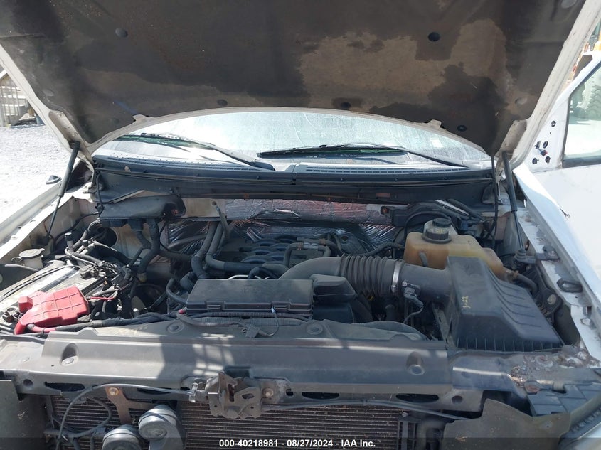 2011 Ford F-150 Xl VIN: 1FTFW1EF7BKE10197 Lot: 40218981