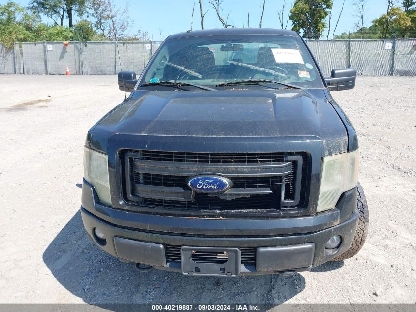 2013 Ford F-150 Stx VIN: 1FTEX1EM8DFB05617 Lot: 40219887