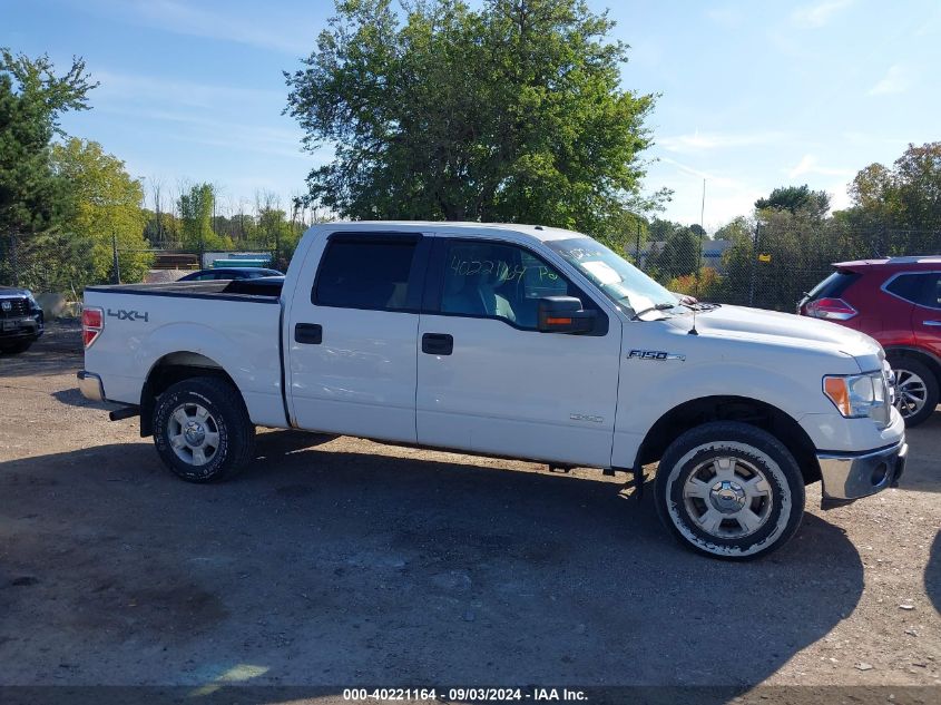 2013 Ford F-150 Xlt VIN: 1FTFW1ET9DFB10873 Lot: 40221164