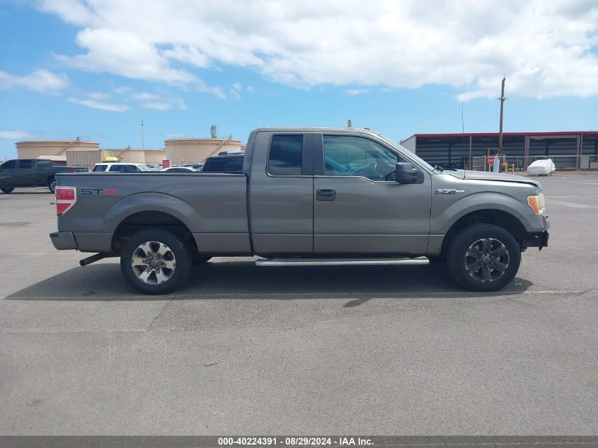 2013 Ford F-150 Stx VIN: 1FTFX1CF6DKD82766 Lot: 40224391