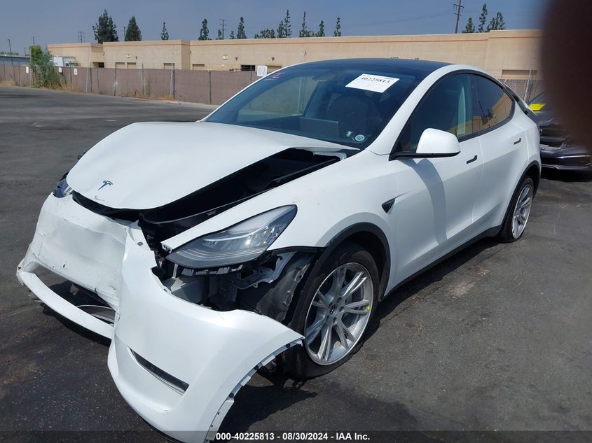 2023 TESLA MODEL Y U   U(VIN: 7SAYGDEEXPA033027