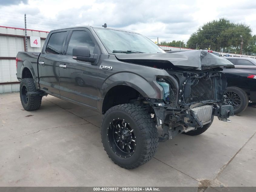 2019 FORD F-150 XLT - 1FTEW1E47KKE46272