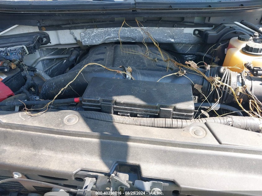 2013 FORD F-150 KING RANCH - 1FTFW1ET2DKD39693