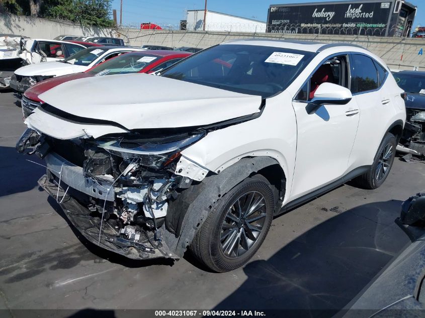 JTJAGCEZ4R5006437 2024 LEXUS NX - Image 2