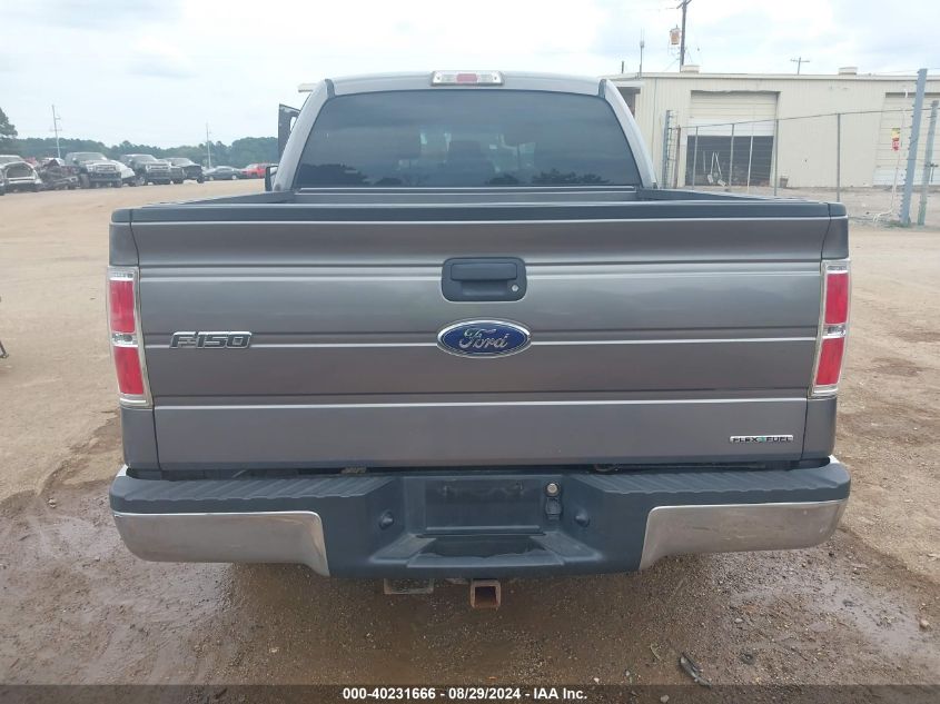 2014 FORD F-150 XL - 1FTFW1CF0EKE25132