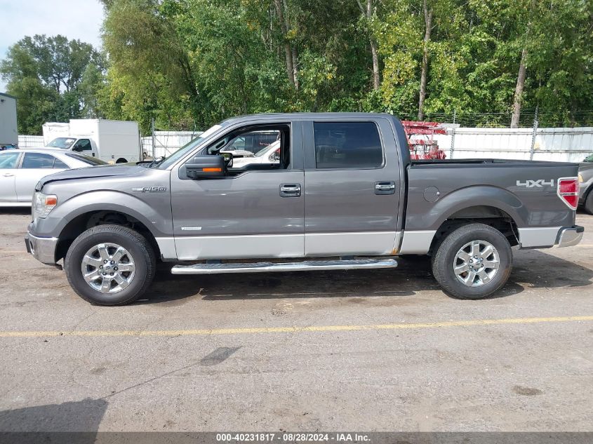 2014 Ford F-150 Xlt VIN: 1FTFW1ET5EFC91228 Lot: 40231817