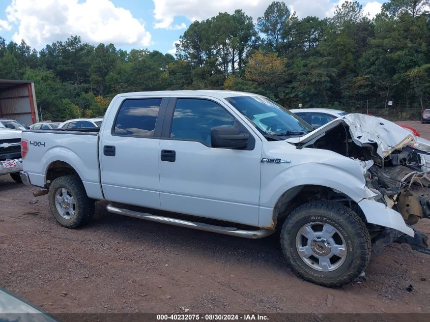 2013 Ford F-150 Xlt VIN: 1FTFW1EF5DKD10053 Lot: 40232075