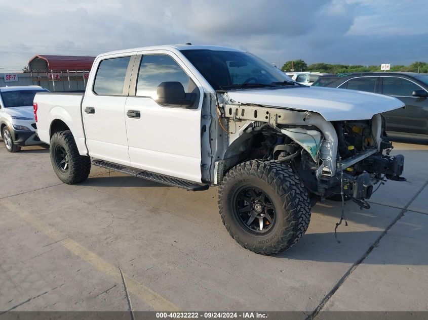 2019 FORD F-150 XL - 1FTEW1E47KKE96797