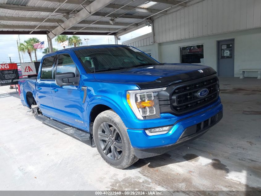 2021 FORD F-150 XLT - 1FTFW1CD9MFC21032