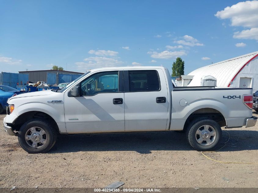 2014 Ford F-150 Xlt VIN: 1FTFW1ET3EFB22597 Lot: 40234388