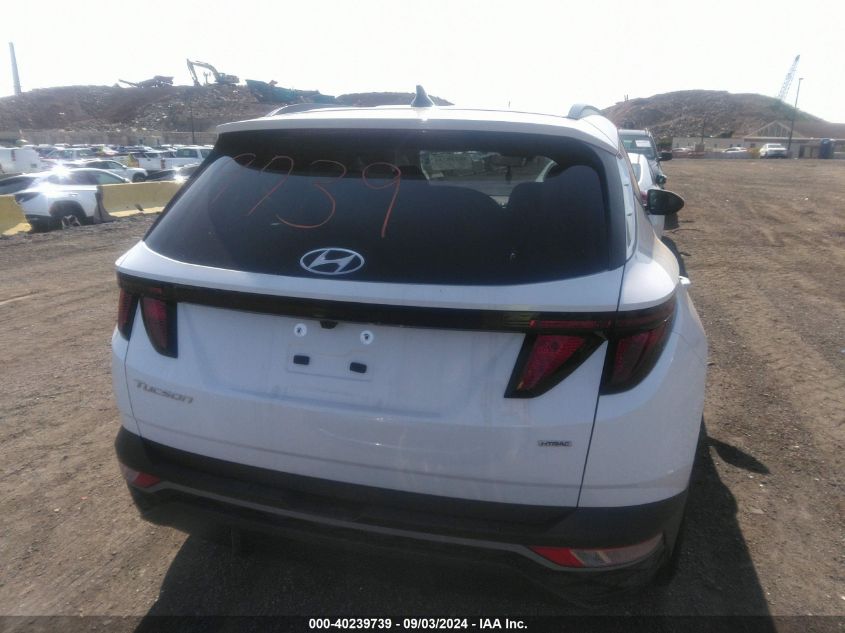 2024 Hyundai Tucson Sel VIN: 5NMJBCDE9RH427678 Lot: 40239739