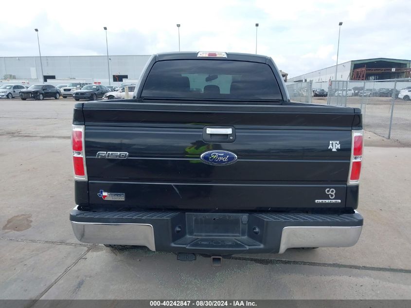 2013 FORD F-150 XLT - 1FTFW1EF7DKE69608