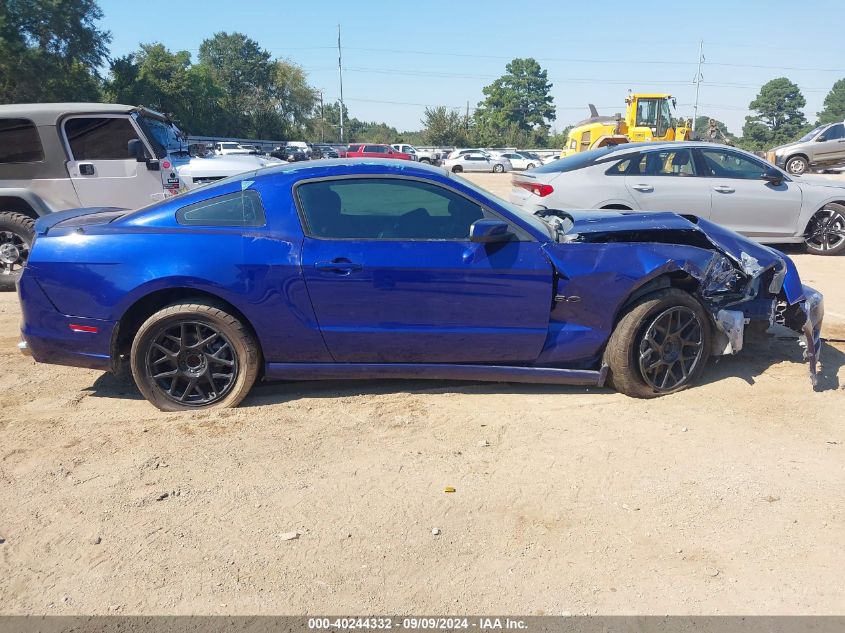 2013 Ford Mustang Gt VIN: 1ZVBP8CF7D5202424 Lot: 40244332