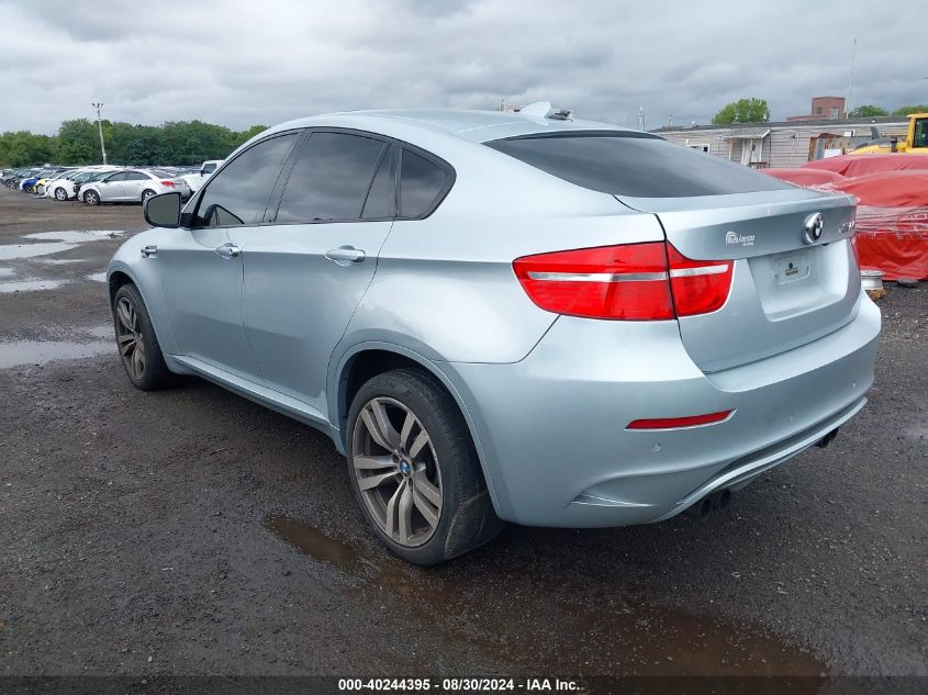 2010 BMW X6 M VIN: 5YMGZ0C57ALK13417 Lot: 40244395