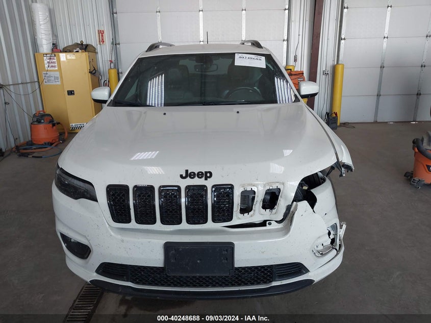 2019 JEEP CHEROKEE LIMITED - 1C4PJMDX4KD338314