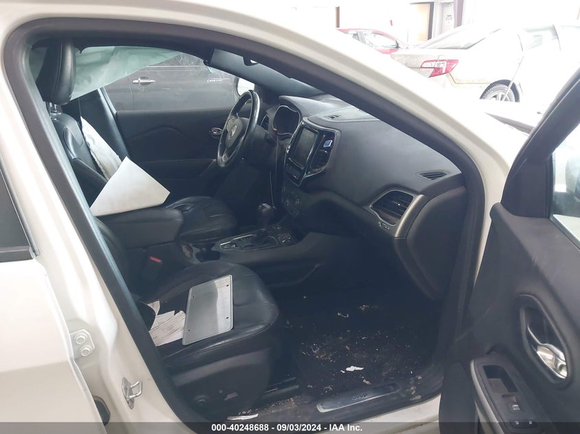 2019 JEEP CHEROKEE LIMITED - 1C4PJMDX4KD338314