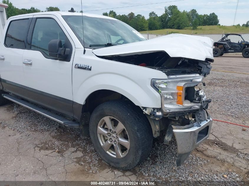 2019 FORD F-150 XLT - 1FTEW1EPXKFB35387