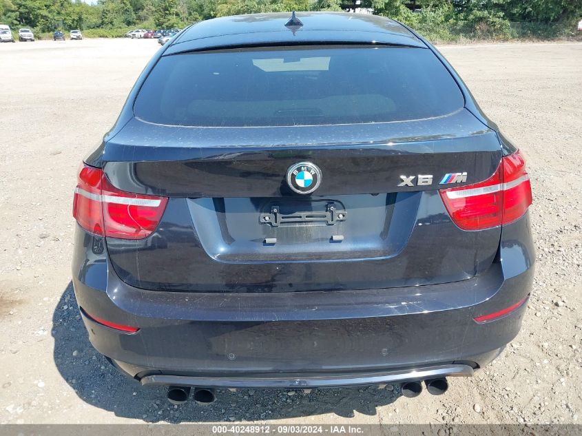 VIN 5YMGZ0C55E0C40304 2014 BMW X6, X6 M no.16