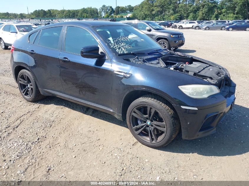 2014 BMW X6, X6 M