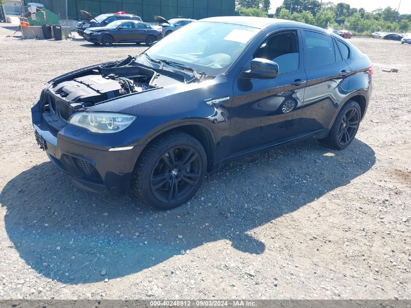 VIN 5YMGZ0C55E0C40304 2014 BMW X6, X6 M no.2