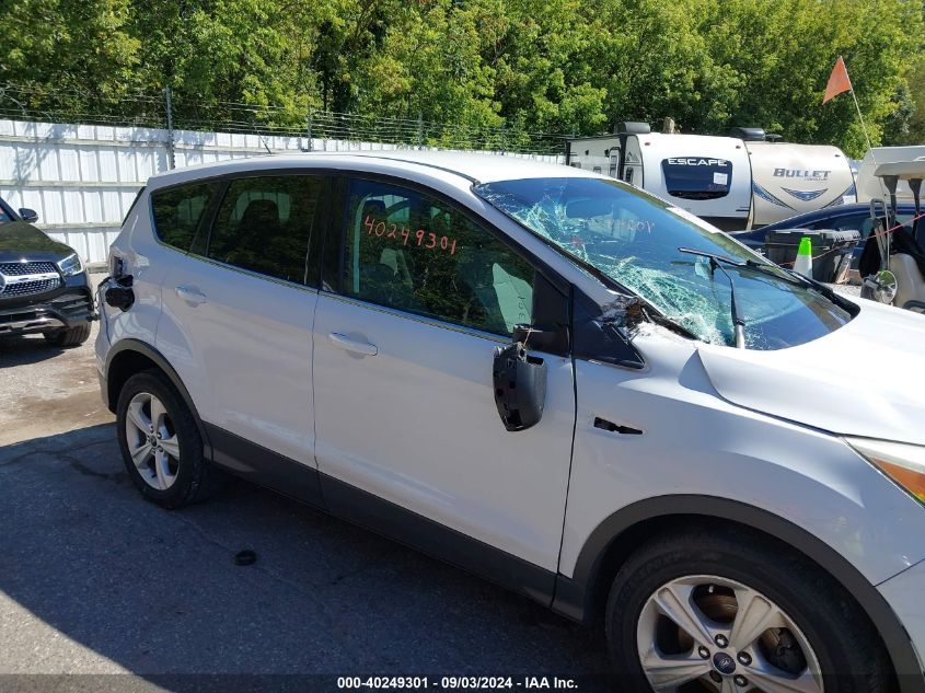 2014 Ford Escape Se VIN: 1FMCU0GX4EUC86919 Lot: 40249301