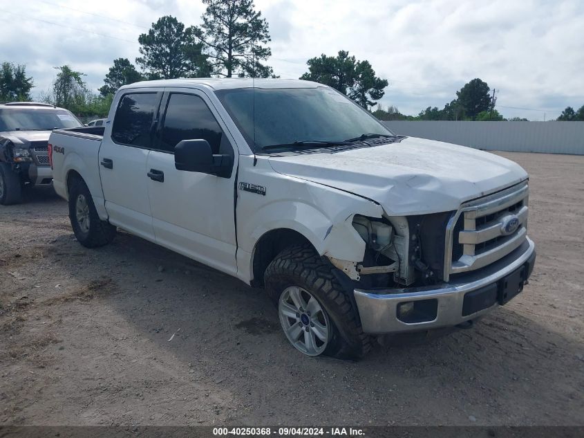 1FTEW1E84FKD21559 2015 FORD F-150 - Image 1