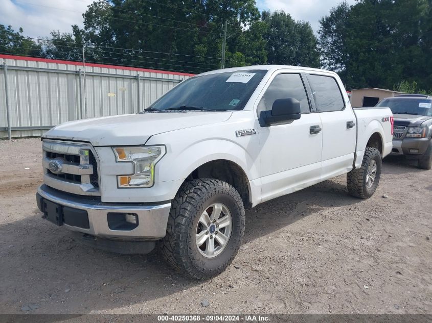 1FTEW1E84FKD21559 2015 FORD F-150 - Image 2