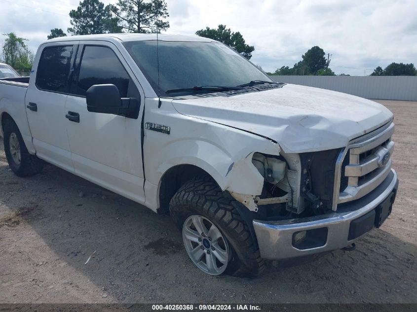 2015 Ford F-150 Xlt VIN: 1FTEW1E84FKD21559 Lot: 40250368